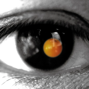 18大学生🈲免费看
