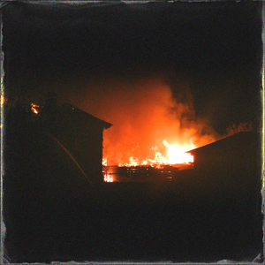 18大学生🈲免费看
