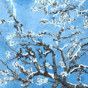 18大学生🈲免费看
