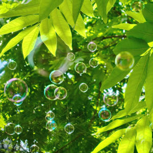 18大学生🈲免费看
