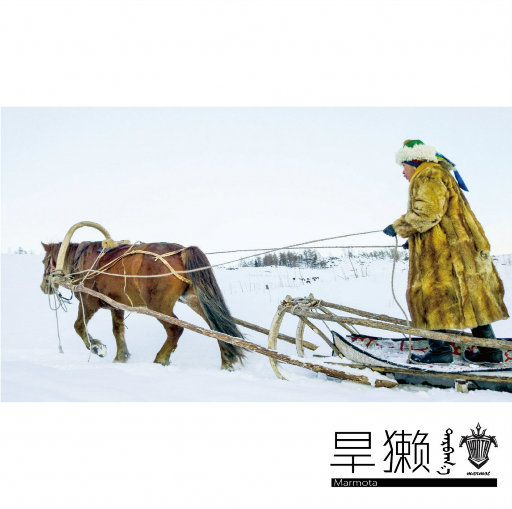 18大学生🈲免费看
